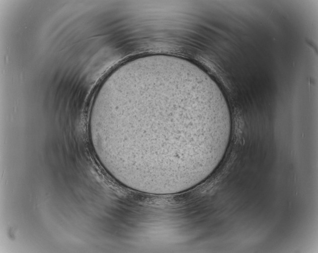 X0000102221074200808221240