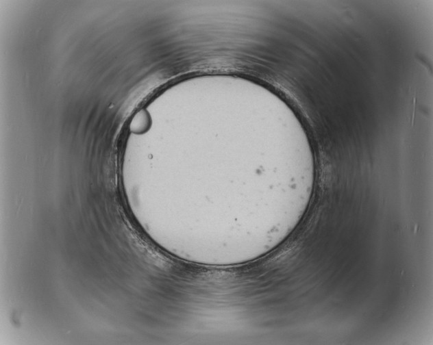 X0000102221075200808221240