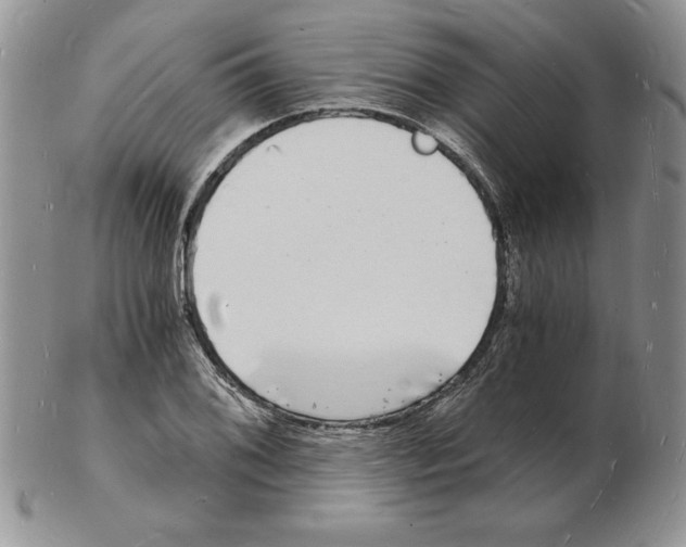 X0000102221076200808221240