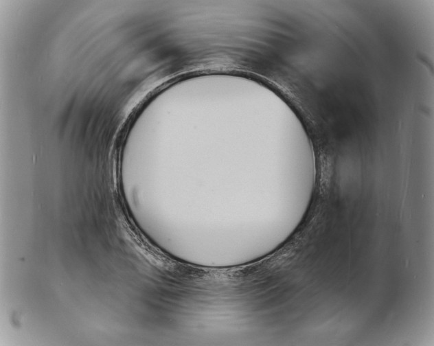 X0000102221078200808221240