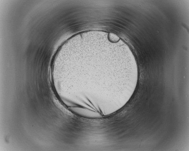 X0000102221080200808221240