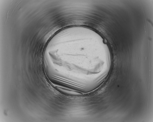 X0000102221081200808221240