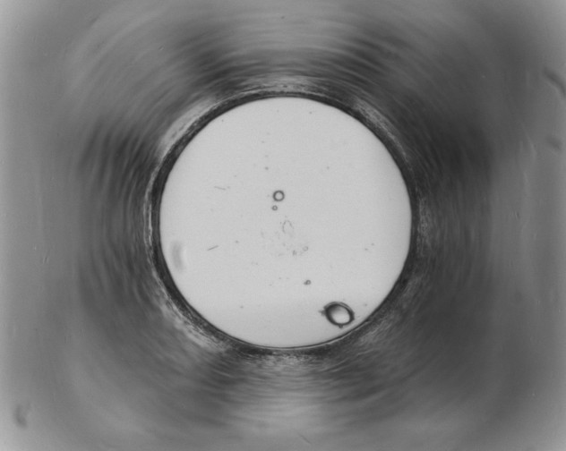 X0000102221082200808221240