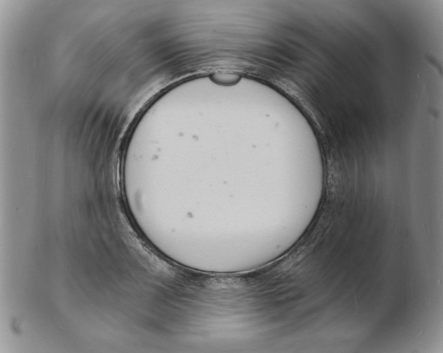 X0000102221083200808221240