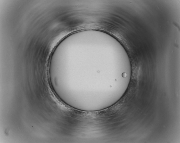 X0000102221086200808221240