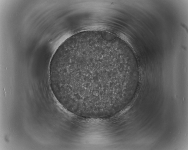 X0000102221087200808221240