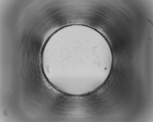 X0000102221088200808221240