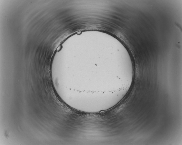 X0000102221089200808221240