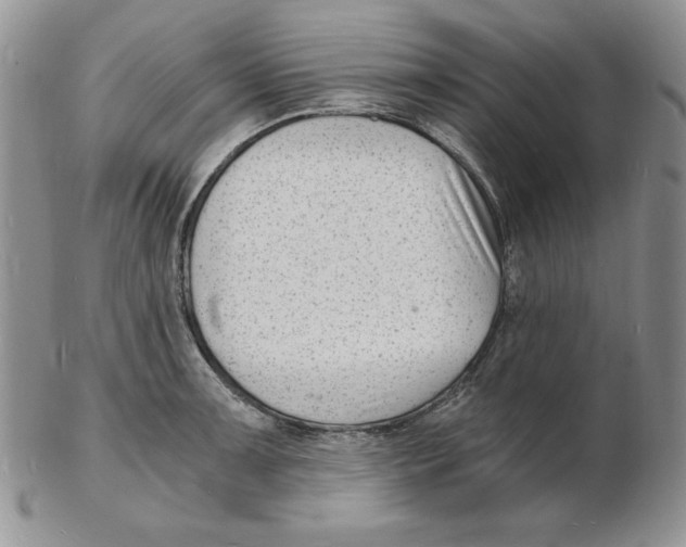 X0000102221091200808221240