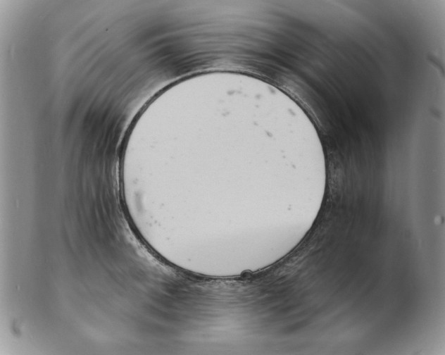 X0000102221092200808221240