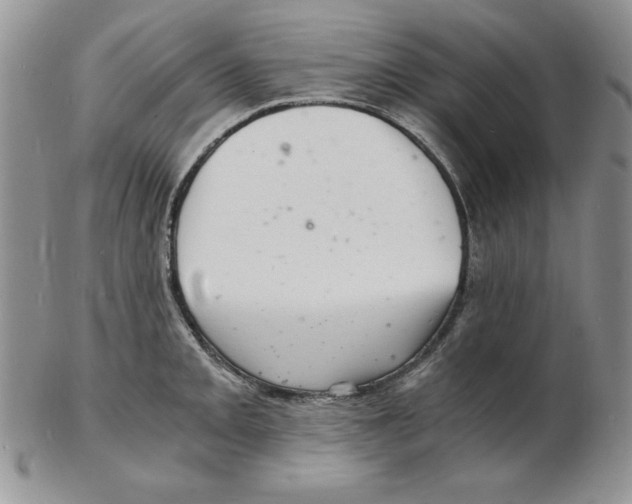 X0000102221093200808221240