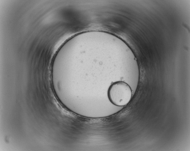 X0000102221094200808221240