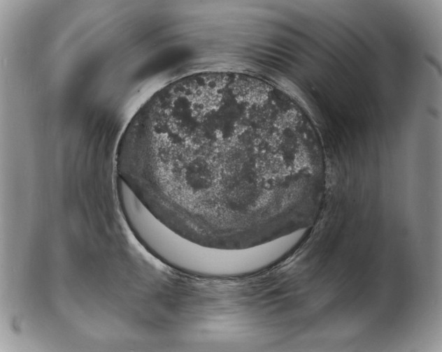 X0000102221095200808221240