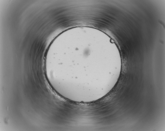 X0000102221096200808221240