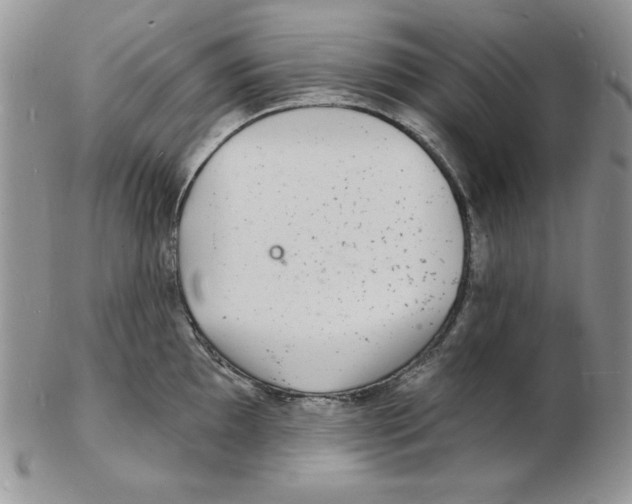 X0000102221097200808221240