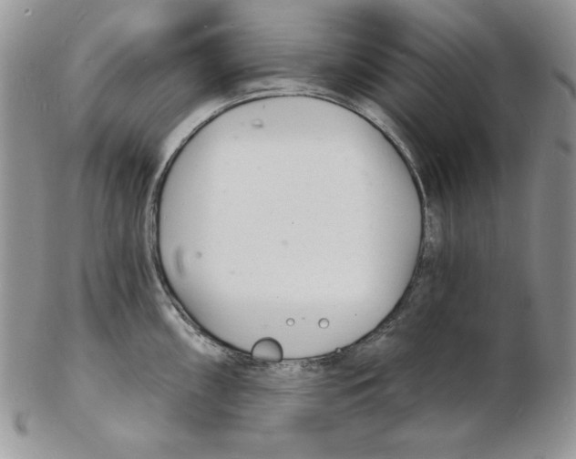 X0000102221098200808221240