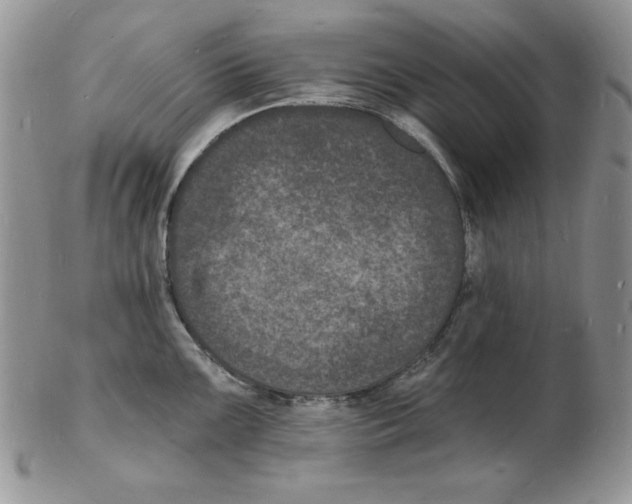 X0000102221099200808221240