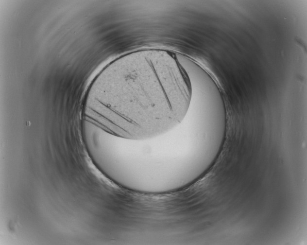 X0000102221100200808221240