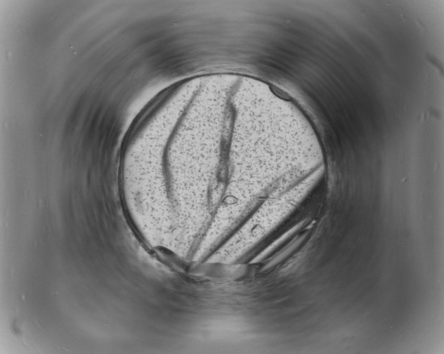 X0000102221102200808221240