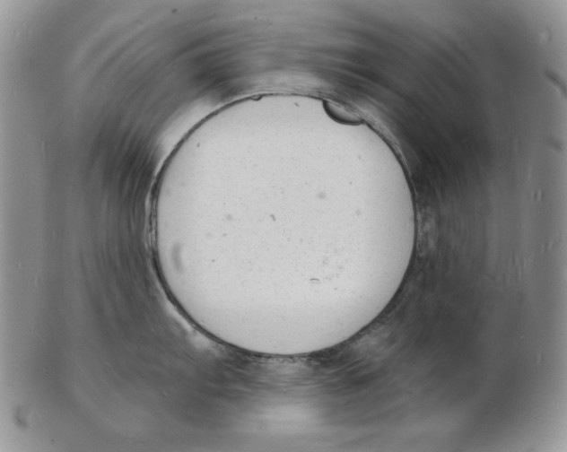 X0000102221103200808221240