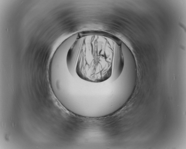 X0000102221104200808221240