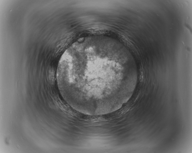 X0000102221108200808221239