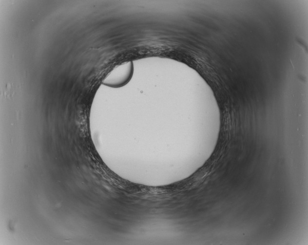 X0000102221109200808221239