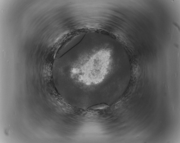 X0000102221110200808221239