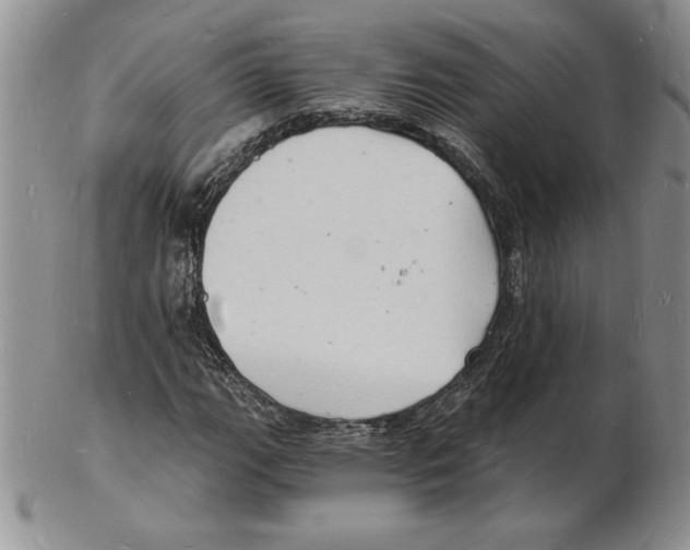 X0000102221111200808221239