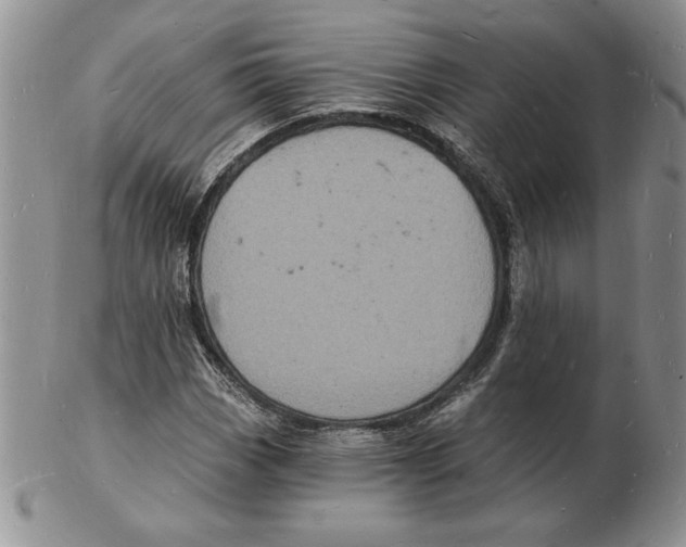 X0000102221113200808221239