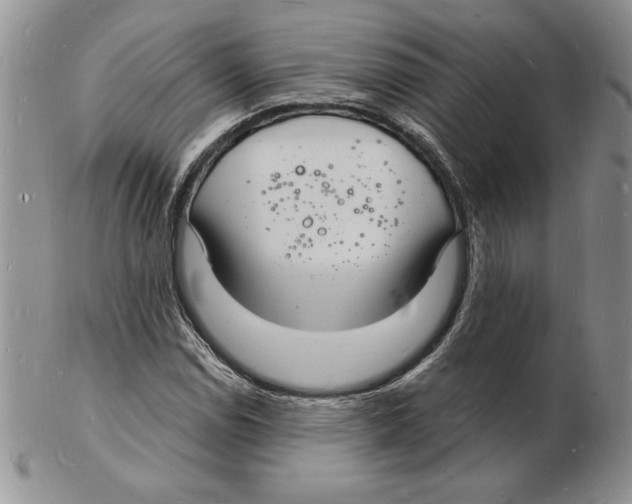 X0000102221114200808221239