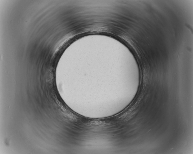 X0000102221115200808221239