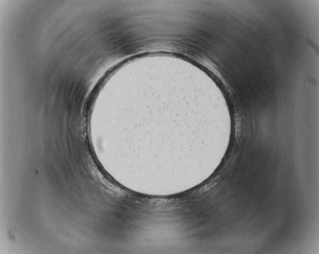 X0000102221116200808221239