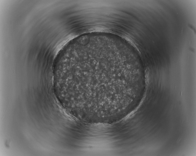 X0000102221117200808221239