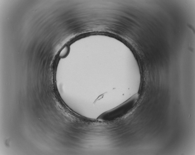 X0000102221118200808221239