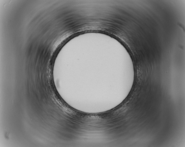 X0000102221119200808221239