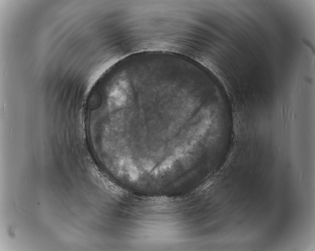 X0000102221120200808221239