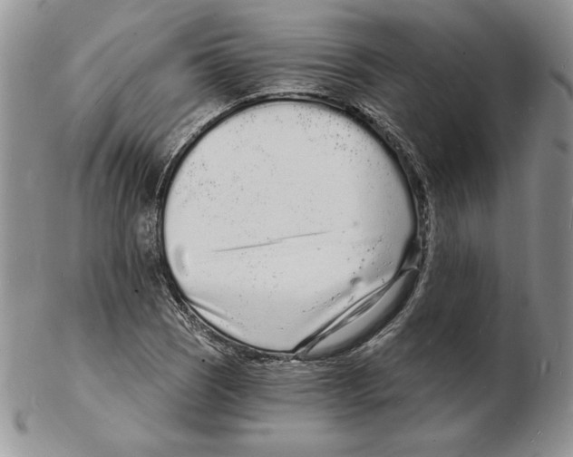 X0000102221121200808221239