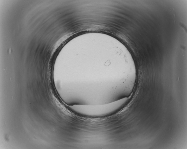 X0000102221122200808221239