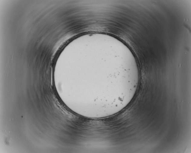 X0000102221123200808221239