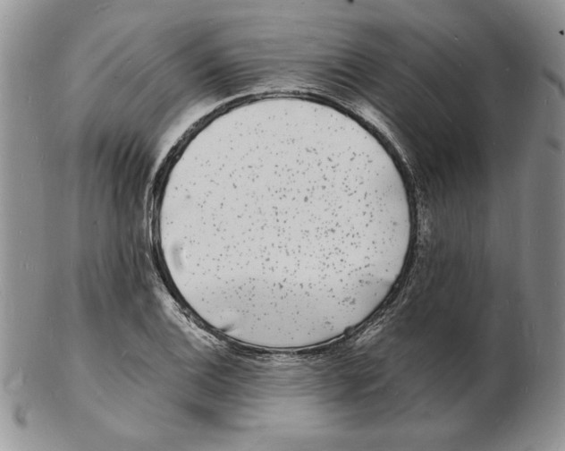 X0000102221124200808221240