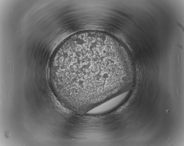 X0000102221125200808221240