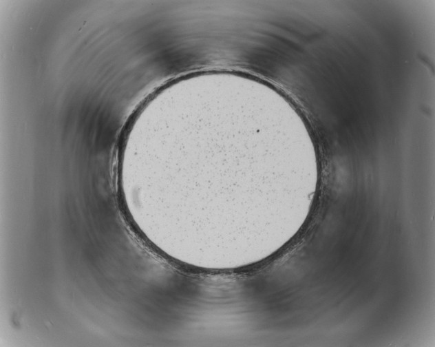 X0000102221126200808221240