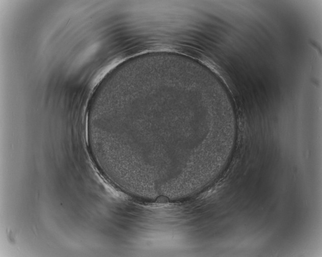 X0000102221127200808221240