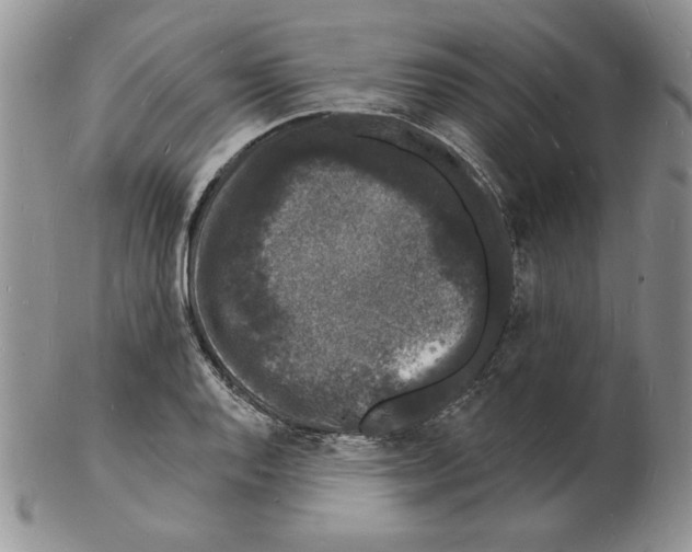 X0000102221128200808221240