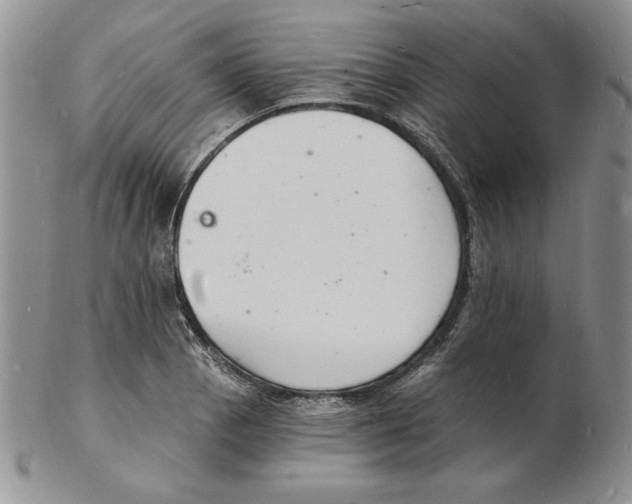 X0000102221129200808221240