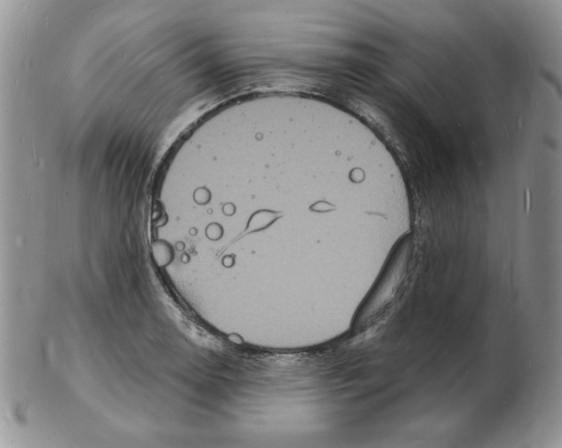 X0000102221130200808221240