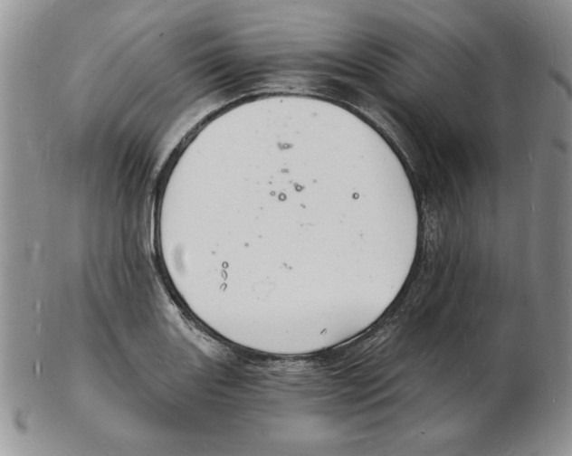 X0000102221131200808221240