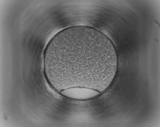 X0000102221132200808221240