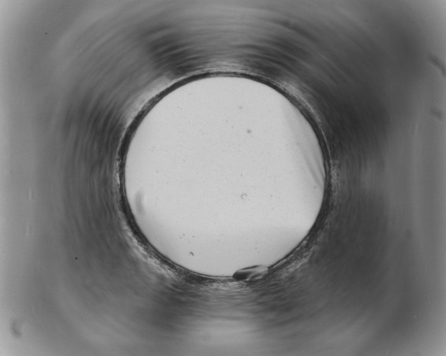 X0000102221133200808221240